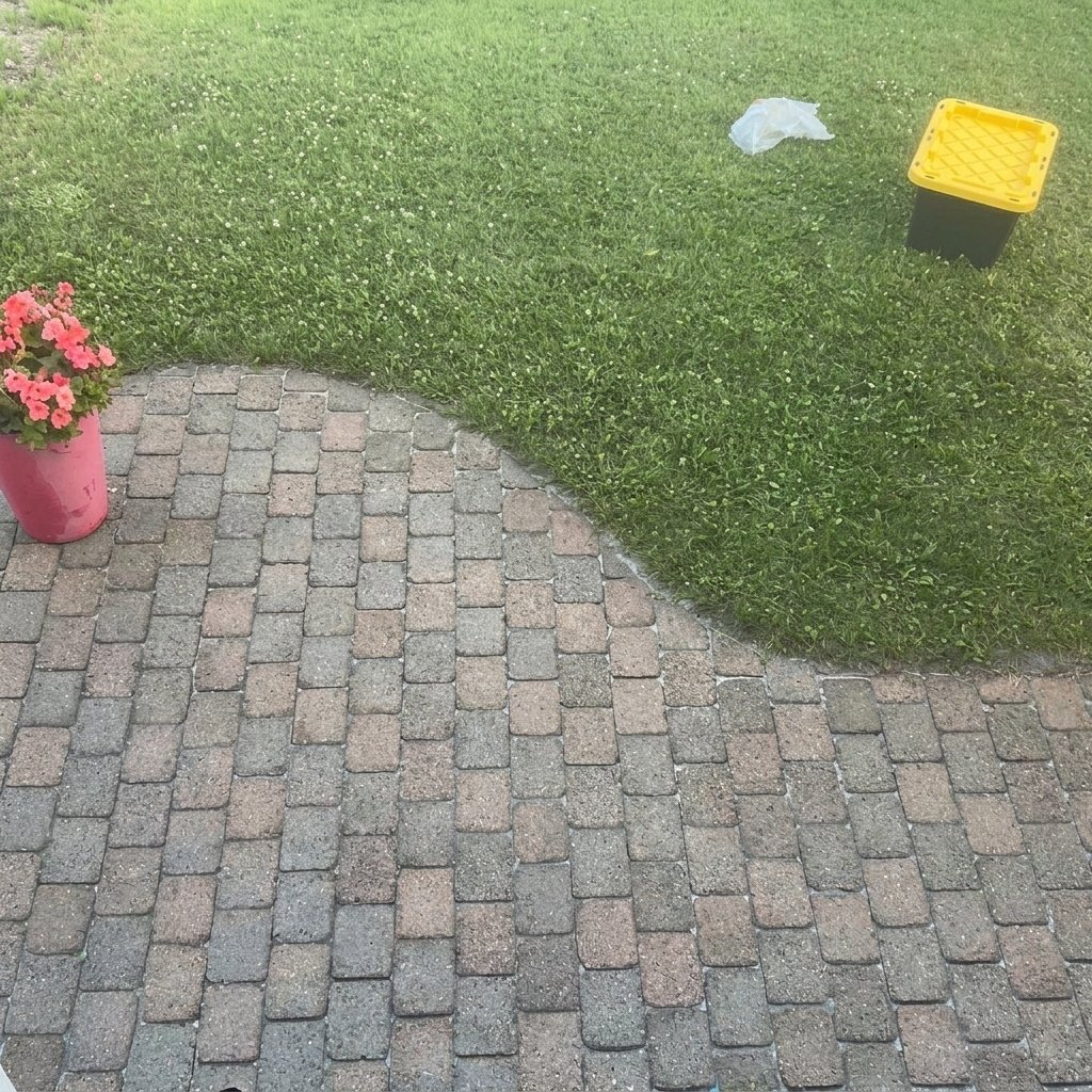 Pavé après restauration VERDO